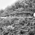 Fotografía Ferrocarril San Luis Tampico Miguel Castillo Andrade